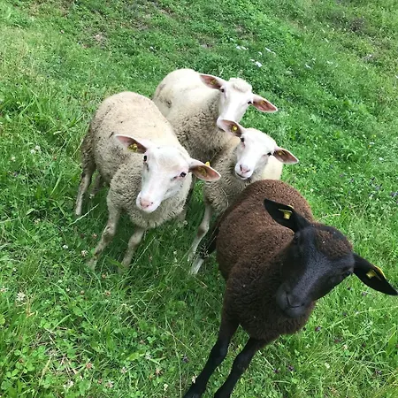 Uriges Am Waldrand Chalé