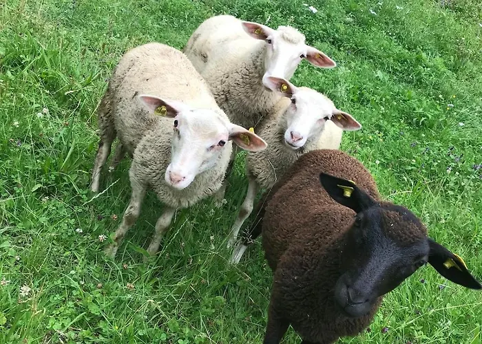 Uriges Am Waldrand Σαλέ